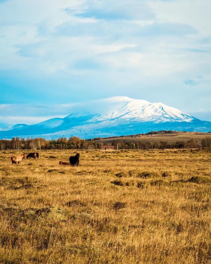 Gaukshof Hotel Selfoss Luaran gambar